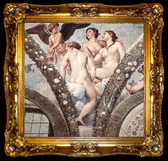 framed  RAFFAELLO Sanzio Cupid and the Three Graces, ta009-2